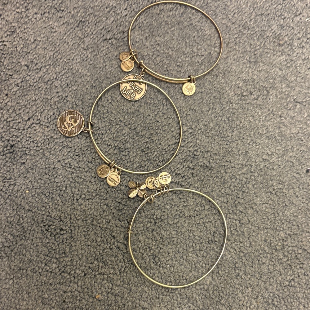 Alex and Ani Gold Charm Bracelet Set